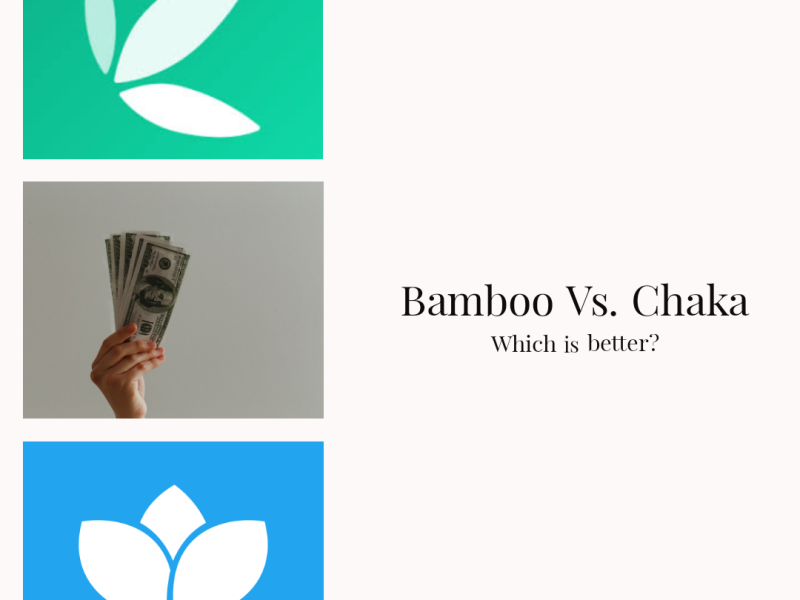 Bamboo vs. Chaka : Which is better?